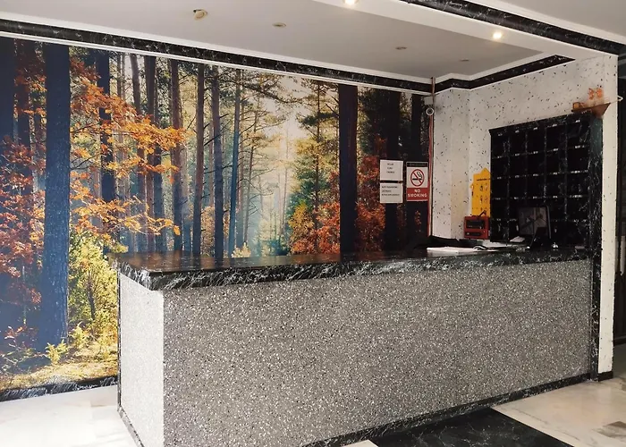 Hotel Nesclass Otell *