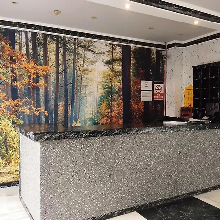 Hotel Nesclass Otell *